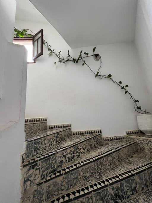 Mehek Apartamento Arzila Exterior foto